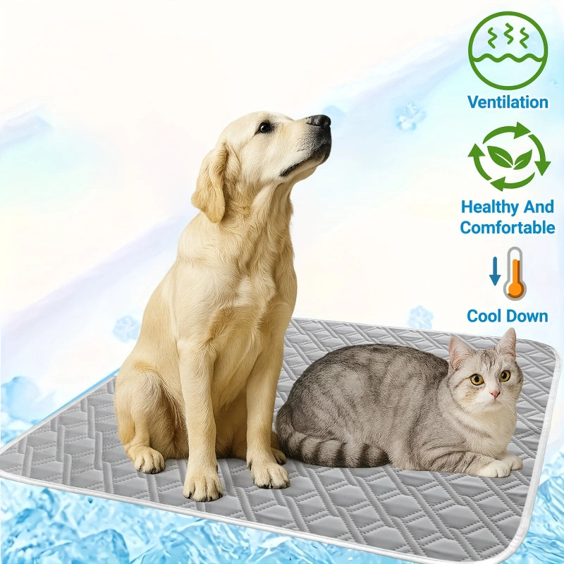 https://cdn.dropmagic.ai/medias/4350090a-189c-4cc9-8949-445e1eb01a95.webp